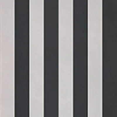evolution stripes a
