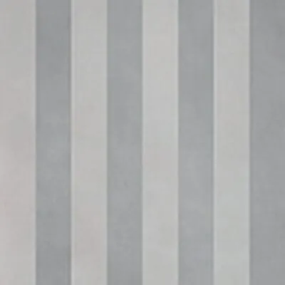 evolution stripes b