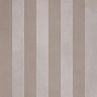 evolution stripes c