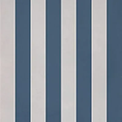 evolution stripes d